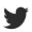 Twitter icon